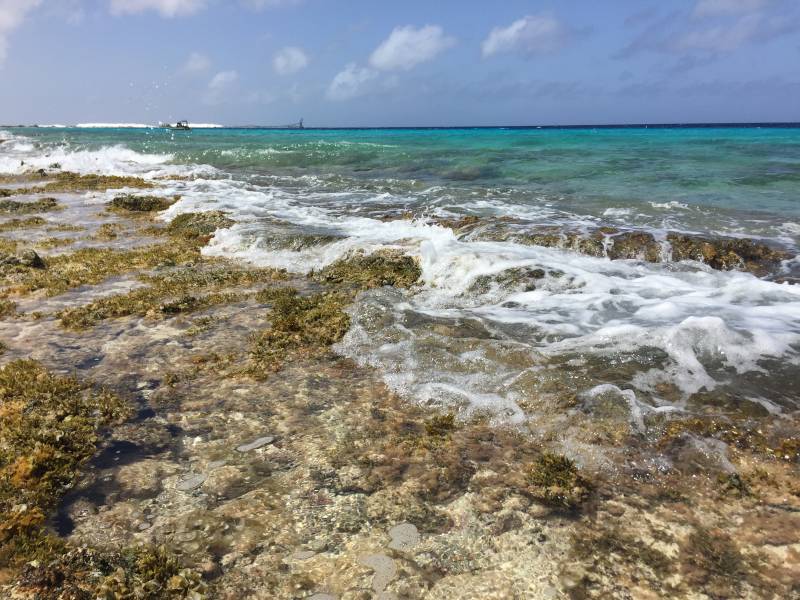 Tide Pools Behind House