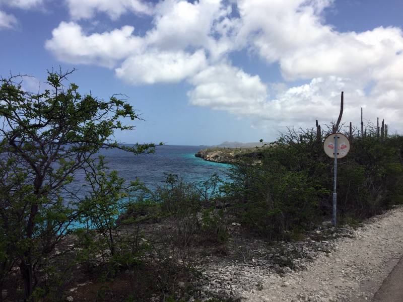 View from West Coast