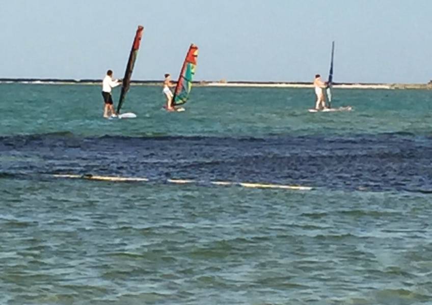 Jeff, Alex, & Vickie Wind Surfing