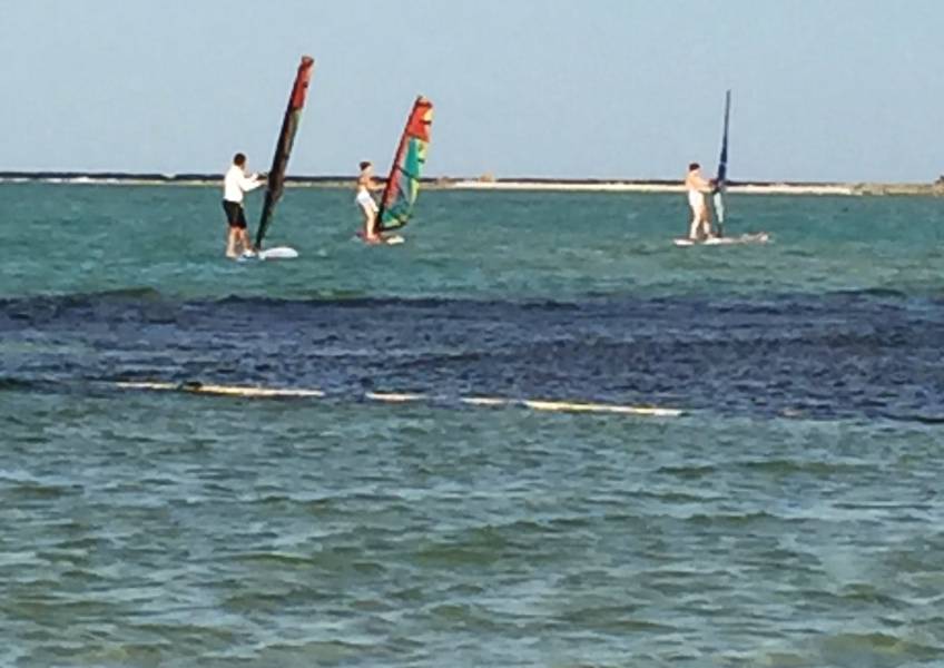 Jeff, Alex, & Vickie Wind Surfing