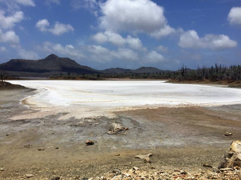 Salt Flats in Park