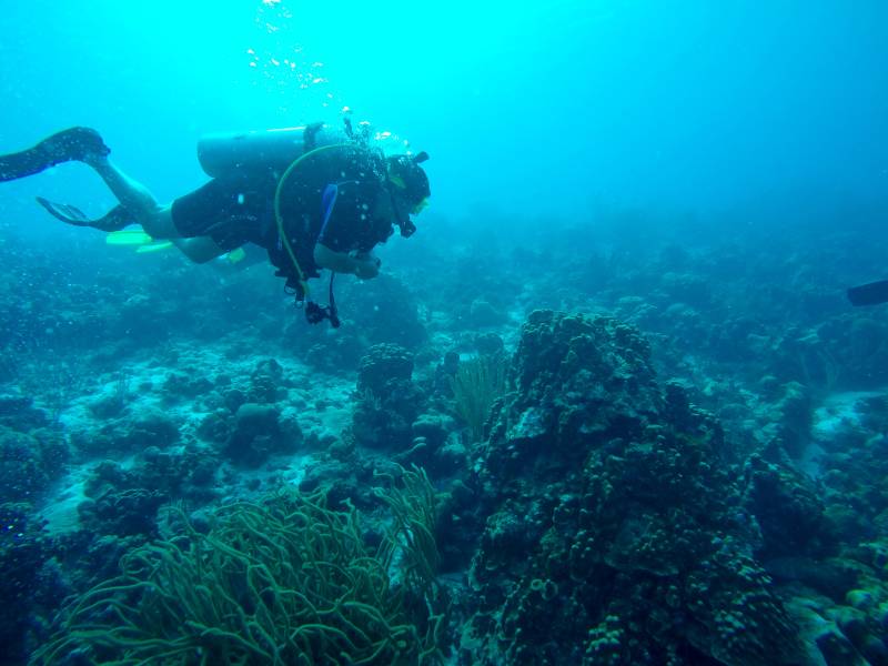 Irma Diving