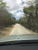 Main Road Through Cactus