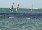 Jeff, Alex, & Vickie Wind Surfing