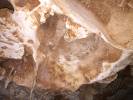 Brain Coral Impression in Cave