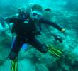 Alex Scuba Diving