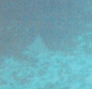 Eagle Ray