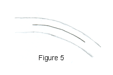 Fig 3. Flow Over a Curved Plate