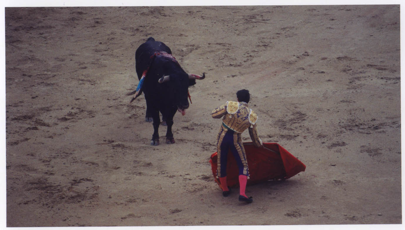 Plaza de Toros, Madrid, Spain (Photo by Chris Frazier)