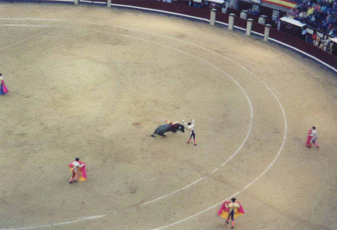 Plaza de Toros, Madrid, Spain