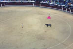 Plaza de Toros, Madrid, Spain