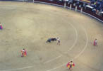 Plaza de Toros, Madrid, Spain