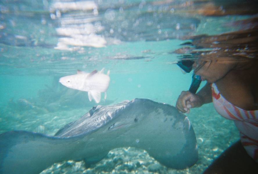 Irma with Sting Ray, Moorea