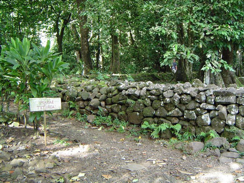 View of Marae (ruin) from 4x4 Excursion, Moorea