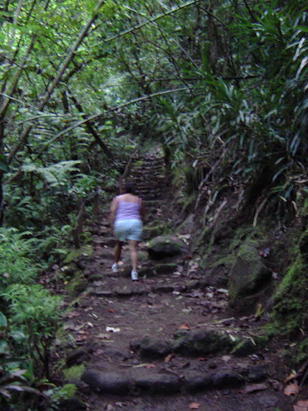 Irma Hiking to Other Two Falls, Tahiti