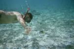 Jeff Snorkeling, Bora Bora