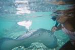 Irma with Sting Ray, Moorea