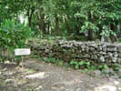 View of Marae (ruin) from 4x4 Excursion, Moorea