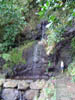 Small Waterfall, Tahiti