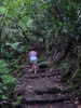 Irma Hiking to Other Two Falls, Tahiti