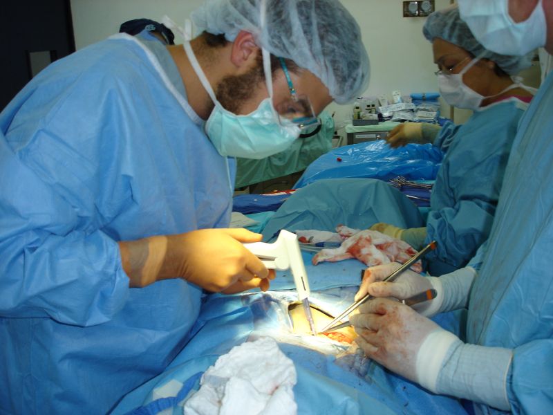 Jeff, Freida & Leo, Closing Hernia Repair