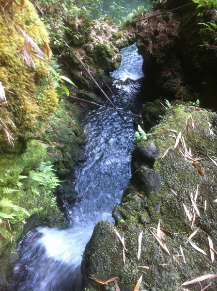 Looking Down a Waterfall