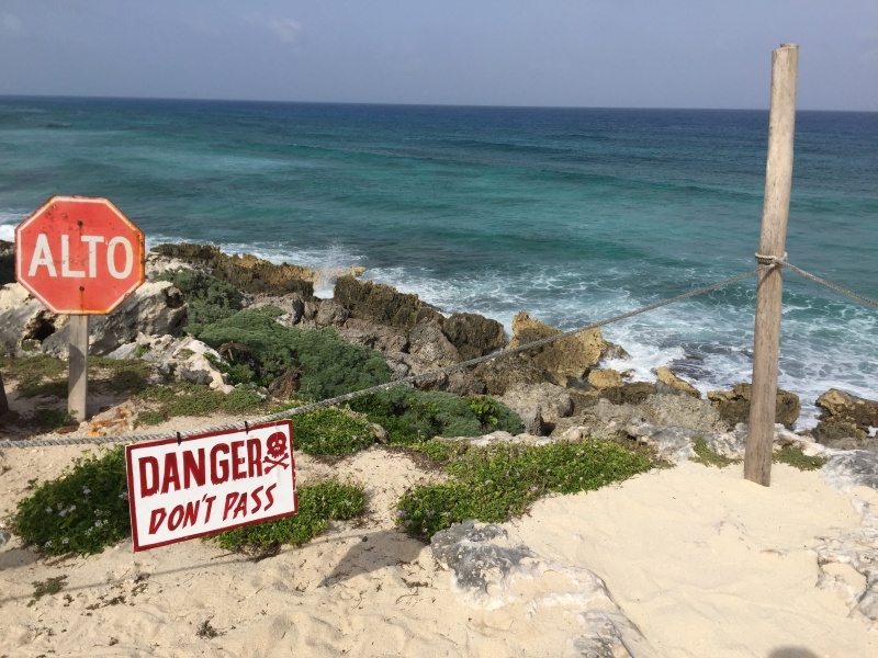 View from Coconuts Restaurant, Cozumel