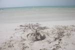 Sand Castle, Holbox