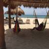 Relaxin' in Hammocks, Playa del Carmen