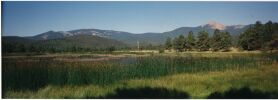 Panoramic View of Baldy from a Meadow