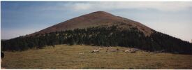 View of Baldy from Baldy Meadow