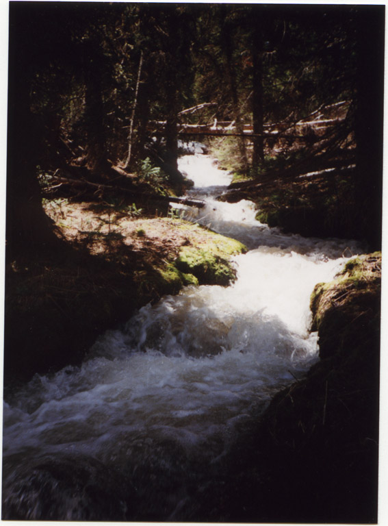 Campsite at Yellowstone