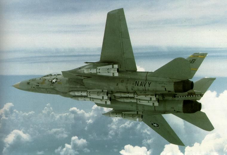 F-14 Tomcat bottom view