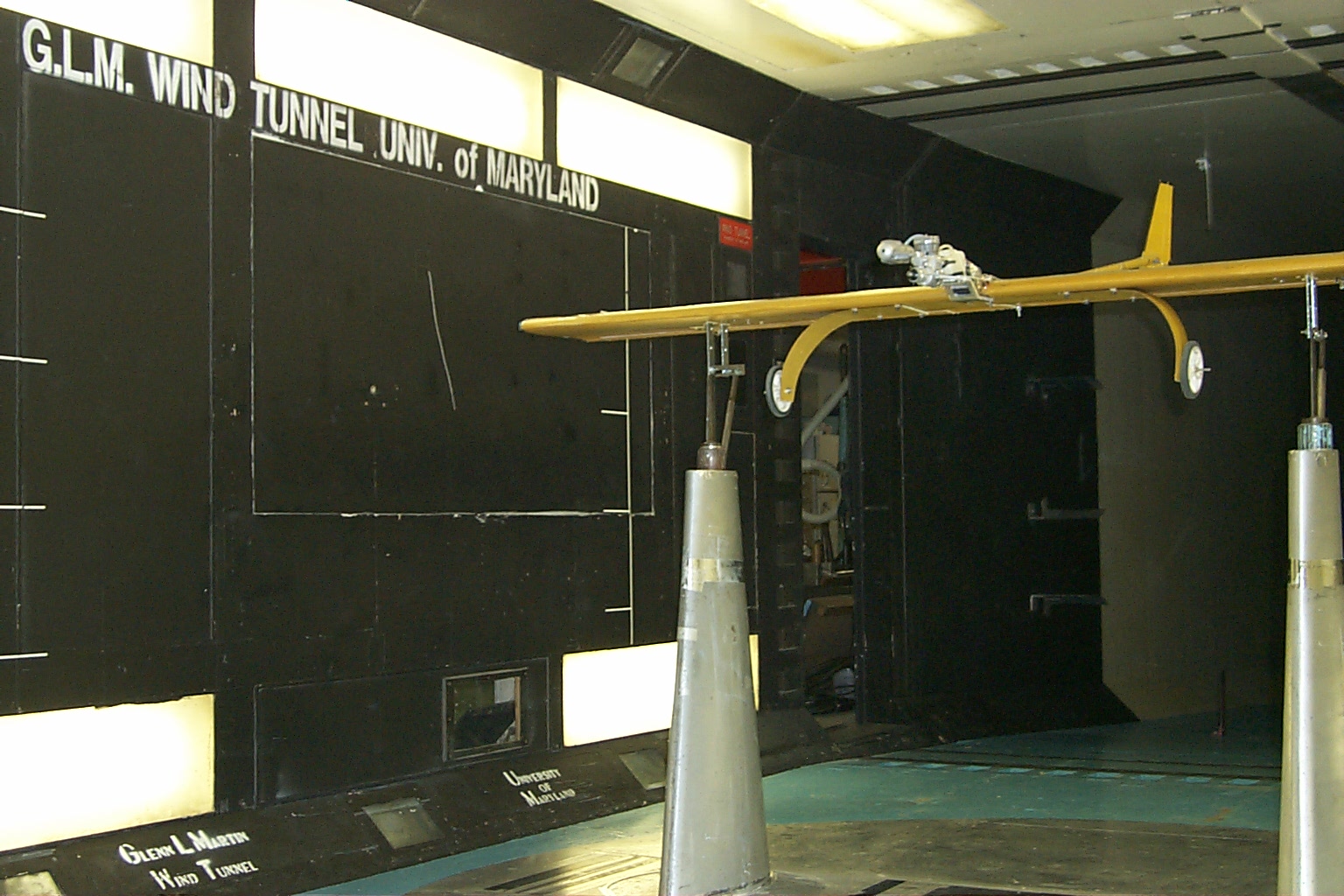 UMD Dragonfly wind tunnel setup
