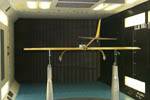 UMD Dragonfly wind tunnel setup