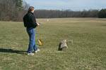 UMD Dragonfly flight testing