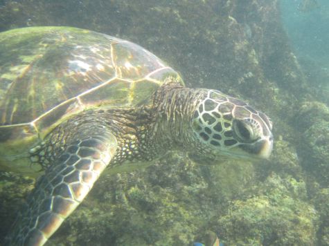 Us By the Tidal Pools in Maui