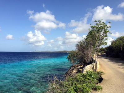 Bonaire Photo 1