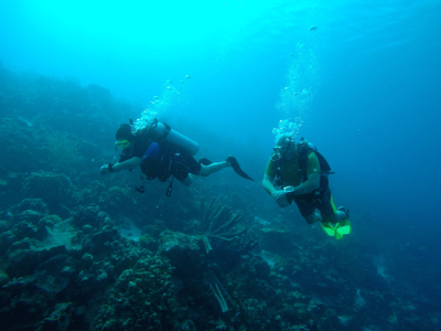 Bonaire Photo 4