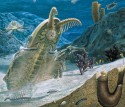 Cambrian Explosion