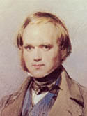 Jeff's Lunchbreak: Happy Darwin Year