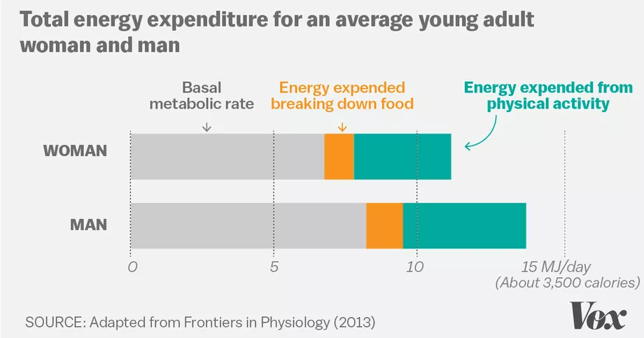 Calorie Expenditure