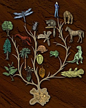 Tree of Life