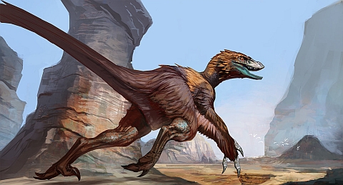 Feathered Dromaeosaurid