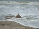 The Tide Taking a Sandcastle