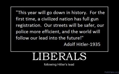 Hitler Gun Control Poster 1