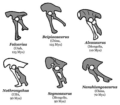 Therizinosauria Hip Variation