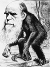 Darwin Day Graphic