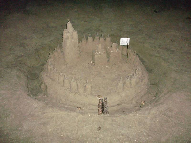 Sand Castle at Galveston