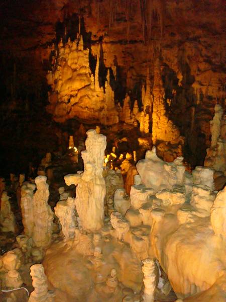 Formation in Natural Bridge Caverns